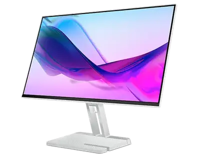 Lenovo L24i-4A Monitor ( 24")